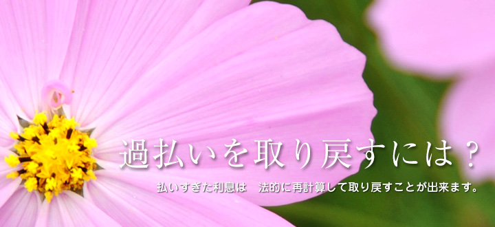 大地の会　｜　過払いを取り戻すには